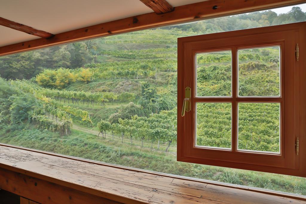 Apartement Schlaf Gut - Mitten In Der Wachau Вайсенкирхен-ин-дер-Вахау Номер фото