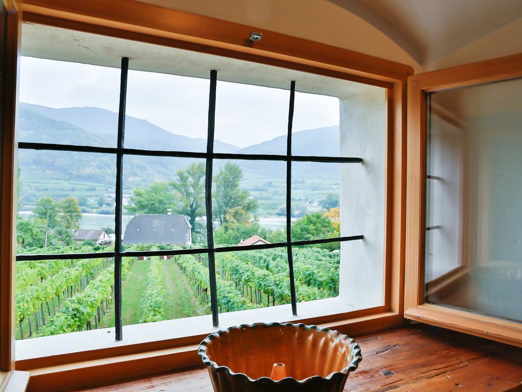 Apartement Schlaf Gut - Mitten In Der Wachau Вайсенкирхен-ин-дер-Вахау Экстерьер фото