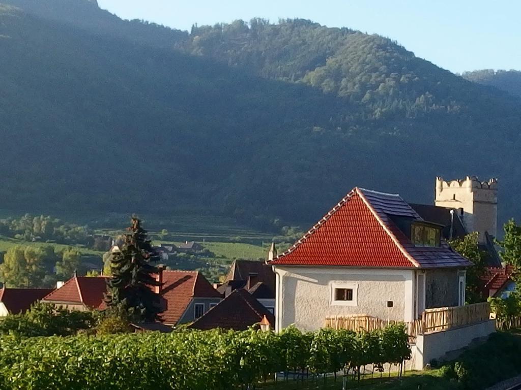 Apartement Schlaf Gut - Mitten In Der Wachau Вайсенкирхен-ин-дер-Вахау Экстерьер фото